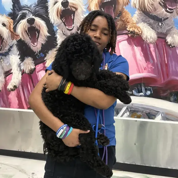 Happy dog at K9 Rox Club daycare